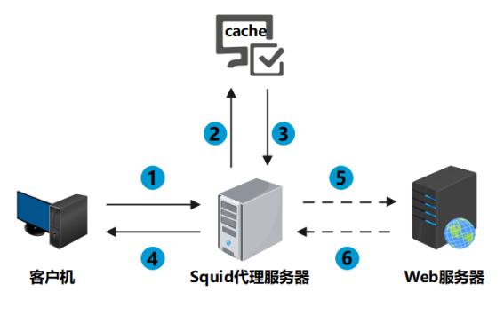 国外服务器代理ip,国外服务器代理ip免费