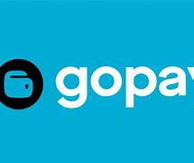 gopay1.cn,gopay钱包官网首页