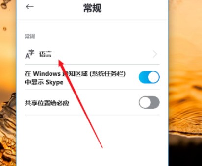 skype上不去,skype上不去了,找不到网友怎么办