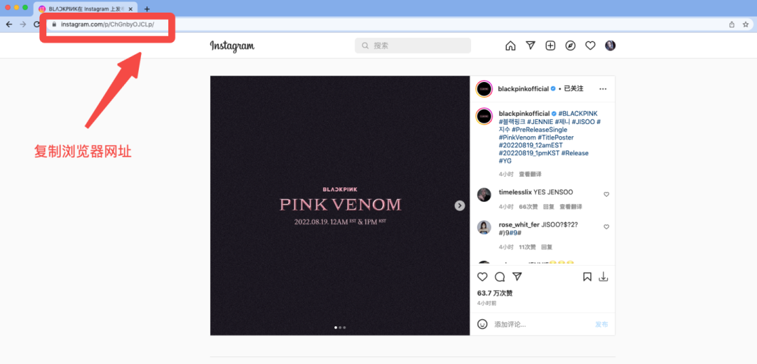 instagram官网入口,instagram官网入口登录