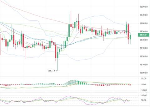 mytoken官网下载,my token app下载