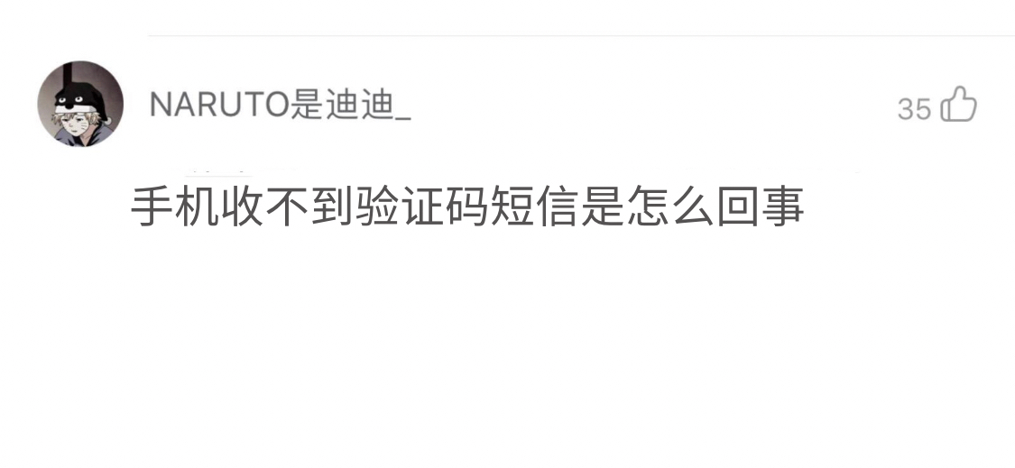 纸飞机收不到86短信验证码,纸飞机app为什么我的手机号不发验证码