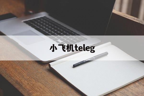 小飞机teleg-飞机telegraph下载