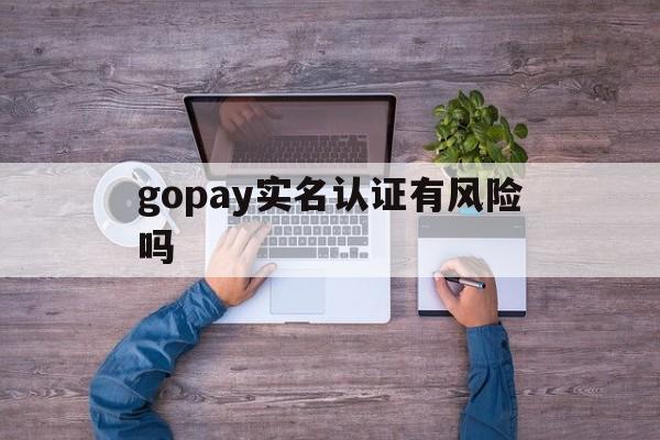 gopay实名认证有风险吗,gopay是什么东西,正规吗