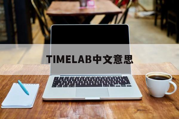 TIMELAB中文意思,timer中文是什么意思