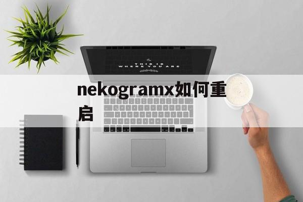 nekogramx如何重启,neko collector怎么玩