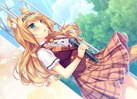 tg动画变成猫娘,to love变成猫
