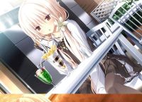 青鸟galgamekrkr,青鸟galgame汉化安卓下载大全