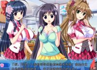 galgame游戏汉化补丁,galgame汉化补丁打开没反应