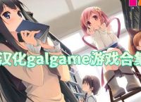 gal如何安装汉化补丁,galgame怎么安装汉化补丁