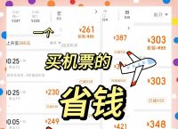 飞机号怎么买,飞机号怎么买最划算