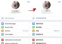 telegraph官网版下载,telegraph官网下载教程