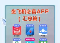 飞机怎么切换中文版,飞机怎么切换中文版模式