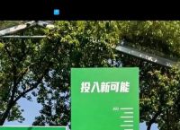 姚明成两会身高担当,姚明身高不止226