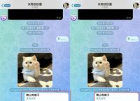telegram需要爬墙吗,telegram怎么跟外国人聊天