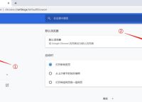 谷歌浏览器加载不出来网页,谷歌浏览器加载不出来网页怎么办