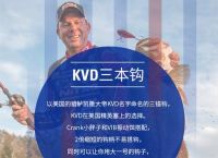 TG账号2元批发网站的简单介绍
