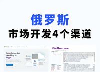 俄罗斯的官网,俄罗斯官网引擎搜索