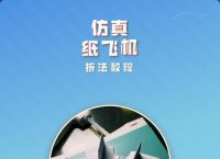 仿生纸飞机教程,仿生纸飞机教程图片