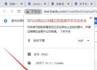 谷歌浏览器下载错误,谷歌浏览器下载软件失败