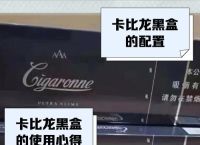 黑盒子官网,黑盒子2020