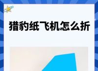 纸飞机王第一名,纸飞机王第一名猎豹纸飞机