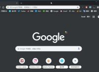谷歌电脑版官方下载,谷歌电脑版官方下载网址