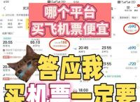 飞机账号批发购买,买飞机的网站是什么
