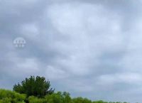 纸飞机旧版本8.9,telegramx版本025