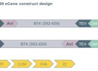 btok官网入口,btk平台最新消息