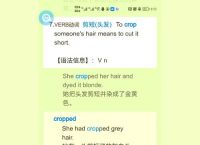 routing中文翻译,roughcut screening翻译