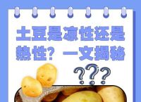 土豆是根还是茎,土豆是根茎植物吗