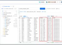 个人数据泄漏查询入口,privacy个人数据泄漏检测