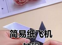 用纸飞机都是干嘛的,纸飞机的玩法和制作方法
