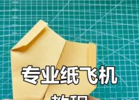 纸飞机吉尼斯纪录折法,破了世界吉尼斯纪录的纸飞机视频怎么折