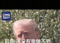 俄方对特朗普的态度,特朗普通俄有什么好处