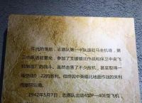 电报怎么撤回信息的简单介绍