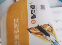包含纸飞机4.9版本的词条