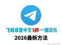 纸飞机如何改成中文,纸飞机怎样设置成中文的