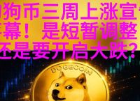 狗狗币突然涨到5000,狗狗币涨1天为什么又下跌
