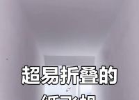 桶形纸飞机,纸筒制作飞机