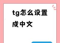 包含tg频道验证是什么意思的词条