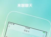 手机端安卓飞机注册教程,安卓飞机app如何设置中文