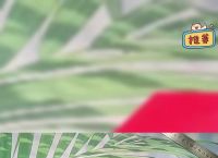 纸飞国内注册简单教程,国内纸飞机注册使用方法教程2020