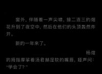 纸飞机小说推文,纸飞机的小说讲什么