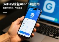 gopay钱包app下载,gopay钱包app下载官网2024
