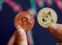 狗狗币资金盘,狗狗币有人控盘吗