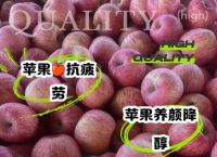 包含tg苹果中文的词条