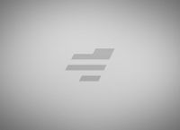 关于电报x版本灰色的信息