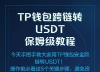 tp钱包是哪个公司的,tp钱包和im钱包哪个好